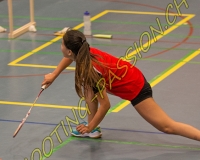 1BULLMINTON - 0351